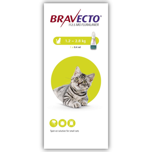 Bravecto store for cats