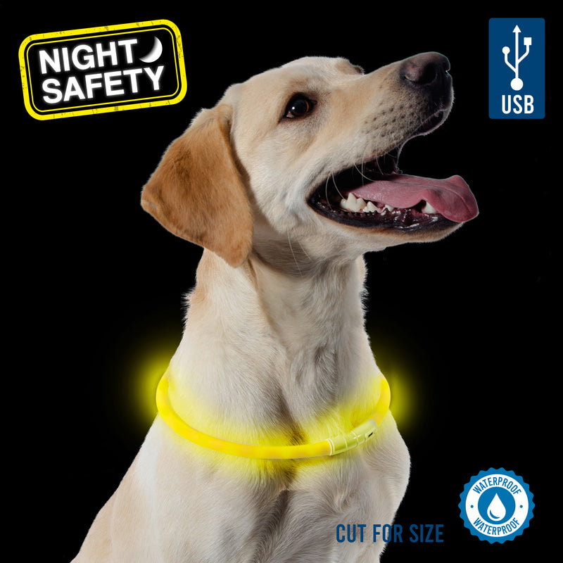 Ancol Safety USB Light Collar