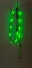 Nite Beams L.E.D Dog Lead Green