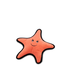 Beco Starfish Dog Toy