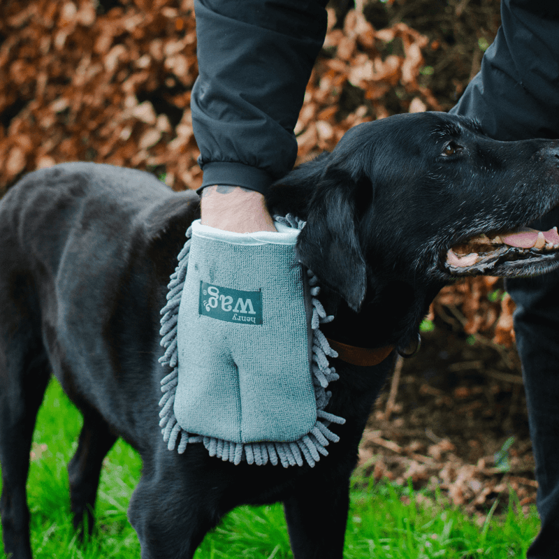 Henry Wag Microfibre Pet Drying Glove