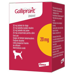 Galliprant Tablets for Dogs