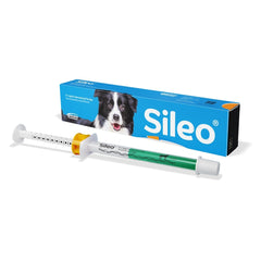 Sileo Oromucosal Gel 3ml