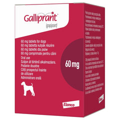 Galliprant Tablets for Dogs