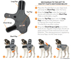 ThunderShirt for Dogs