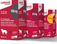 Galliprant Tablets for Dogs