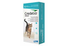 Credelio Tablets for Cats