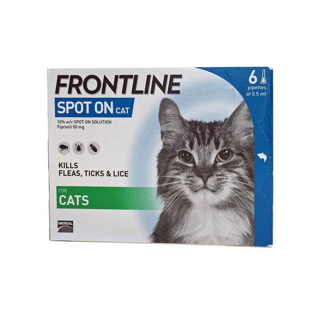 Frontline store pregnant cat