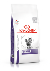 Royal Canin Dental Feline Dry Food